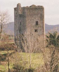 Lackeen Castle, Lower Ormond