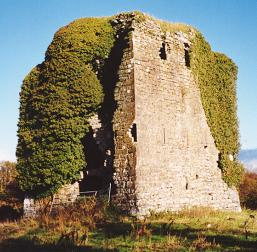 Ballyfinboy Castle | Irish Kennedy Heritage Group