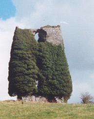 Annagh Castle. Only 2 walls standing today 