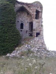 Ballyfinboy Castle | Kennedy Castles