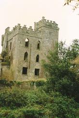 Cloghenane Castle | Kennedy Castles
