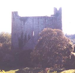 Drominagh Castle | Kennedy Castles