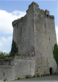 Kilowney Castle | Kennedy Castles